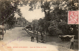 - MUSSY-SUR-SEINE -1904- Quai De L'Hotel De Ville - Mussy-sur-Seine