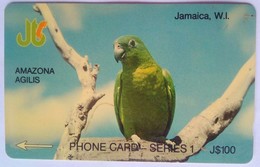 Jamaica J$100  8JAMA "  Amazona Agilis " - Giamaica