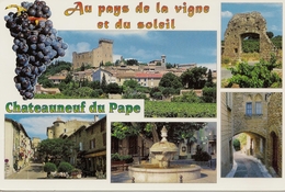 CPM Chateauneuf Du Pape (multivues) - Chateauneuf Du Pape