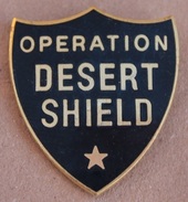 MARINE US - USA - OPERATION DESERT SHIELD - WAR - GUERRE - SOLDAT - STAR - ETOILE    -      (16) - Militaria