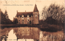 ¤¤  -  CHATILLON-sur-SEVRE   -  Chateau " Le Bois Fichet "    -  ¤¤ - Altri & Non Classificati