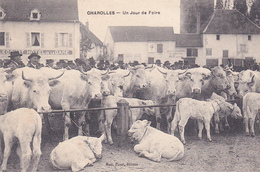 Delcampe - CHAROLLES - Un Jour De Foire - Charolles