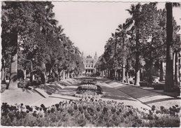 MONACO,MONTE CARLO,CASINO,JARDIN - Monte-Carlo