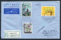 1966 Iceland Hredavatn Registered Aerogramme Scouts Europa - Lettres & Documents