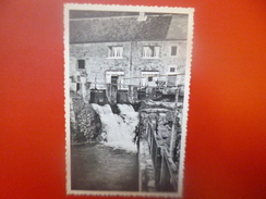 Comblain-au-Pont :Pisciculture Au Moulin(C89) - Comblain-au-Pont