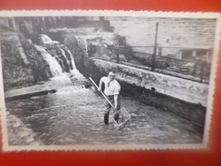 Comblain-au-Pont :Pisciculture Au Moulin(C90) - Comblain-au-Pont