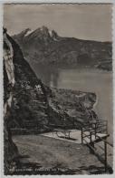 Bürgenstock - Felsenweg Mit Pilatus - Photoglob No. 3693 - Andere & Zonder Classificatie