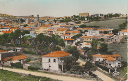 17 / 4 / 450 -    TIARET  ( ALGÉRIE )  CPSM    DU  VILLAGE - Tiaret