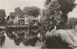 17 / 4 / 461  -   PACY -sur - EURE  ( 27 )  -  UN  JOLI  PAYSAGE  SUR  L'EURE     -  CPSM - Marcilly-sur-Eure