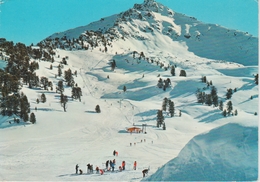 (CH350) HAUTE NENDAZ. LES PISTES DU TICOUET ET LA DENT DE NENDAZ - Nendaz