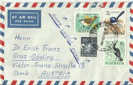 AUSTRALIA  CV  VOGEL - Storia Postale