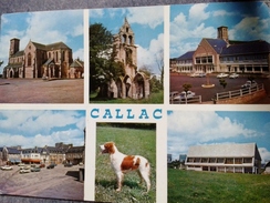 Cartes Postales > Europe > France > [22] Côtes D'Armor > Callac - Callac