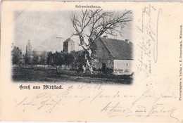 Gruß Aus Wittstock Schwedenbaum Passepartout Bahnpost Deutlich BERLIN - STRALSUND ZUG 904 30.4.1898 Gelaufen - Wittstock