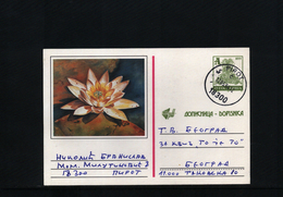 Jugoslawien / Yugoslavia Interesting Postal Stationery Postcard (23) - Brieven En Documenten