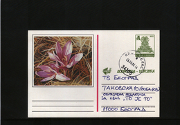 Jugoslawien / Yugoslavia Interesting Postal Stationery Postcard (24) - Briefe U. Dokumente