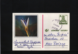 Jugoslawien / Yugoslavia Interesting Postal Stationery Postcard (25) - Covers & Documents