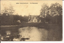 KAPELLENBOSCH (CAPPELLENBOSCH): De Maretak - Kapellen