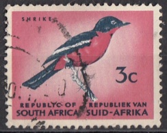 272 Sud Africa 1961 Uccelli Birds - Averla Dal Petto Rosso - Laniarius Atrococcineus - South Suid Afrika - Moineaux