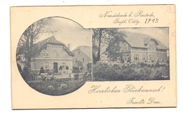 2903 RASTEDE - NEUSÜDENDE, Glückwunschkarte Baumschulen Deus, 1913, Keine AK-Einteilung - Rastede