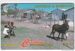 Antigua, ANT-17A, Kids At Play, Donkey, Esel, 2 Scans.   17CATA . - Antigua En Barbuda