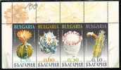 BULGARIA / BULGARIE - 2009 - Cactus - 4v** - Premier Variant - Cactusses