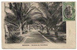 Congo Belge Carte Boma 1912 / Banana Lettre Cover Carta - Lettres & Documents