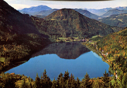 Lunzersee - Blick Vom Zinken 1973  (000031) - Lunz Am See