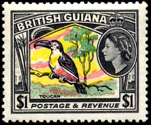 BIRDS-CHANNEL BILLED TOUCAN $1-BRITISH GUIANA-1954-SCARCE-MNH-PA1-9 - Spechten En Klimvogels