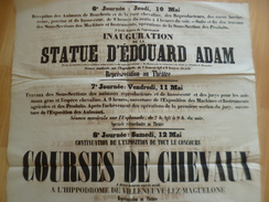 Affiche Montpellier Mai 1860 Inauguration Statue E.Adam Et Course De Chevaux Et Exposition Agricole Animaux, ....i - Afiches