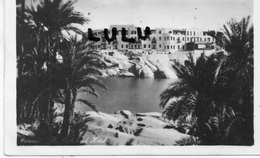 EGYPTE : édit. Forrania : Assuan Carteret Hotel - Aswan