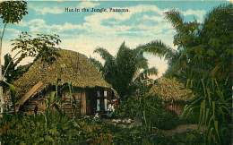 AMERIQUE - 010517 - PANAMA Hut In The Jungle - Hutte - Panama