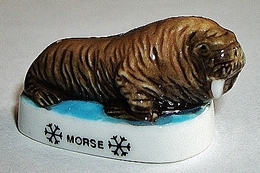 Morse (BB) - Animaux