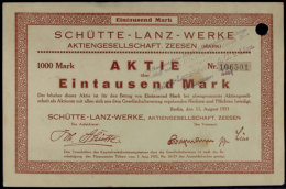 Zeesen 1923, Schütte-Lanz-Werke AG, Gründer-Aktie über 1000 Mark, Format Ca. Din A5 Quer, Gute... - Non Classés