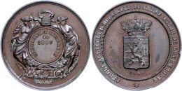 Luxemburg, Bronzemedaille (Dm. Ca. 46,80mm, Ca. 42,53g), 1887, Von Hart. Av: Wappen, Im Außenkranz Umschrift.... - Autres & Non Classés