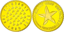 100 Euro, Gold, 2008, Slowenische Präsidentschaft Im Europäischen Rat, Fb. 23, Auflage Nur 2000... - Slovenia