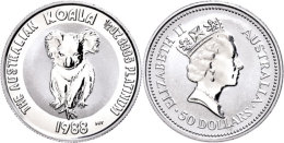 50 Dollars, Platin, 1988, Koala, In Ausgabekapsel, KM 110, St.  St50 Dollars, Platinum, 1988, Koala, In... - Andere & Zonder Classificatie