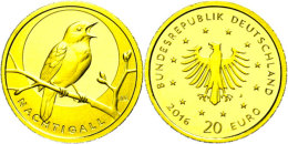 20 Euro, Gold, 2016, Nachtigall, In Kapsel, Mit Zertifikat, St.  St20 Euro, Gold, 2016, Nightingale, In... - Autres & Non Classés