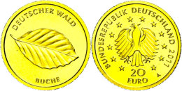 20 Euro, Gold, 2011, Buche, In Kapsel, Mit Zertifikat, St.  St20 Euro, Gold, 2011, Beech, In Capsule, With... - Autres & Non Classés