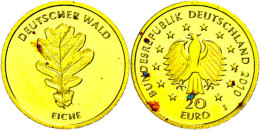 20 Euro, Gold, 2010, Eiche, In Kapsel, Mit Zertifikat, Fleckig, St.  St20 Euro, Gold, 2010, Oak, In Capsule,... - Other & Unclassified