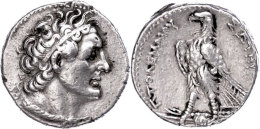 Tetradrachme (14,11g), 285-246 V. Chr., Ptolemaios II. Philadelphos. Av: Kopf Nach Rechts, Darum Umschrift. Rev:... - Sin Clasificación