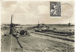 ALBLASSERWAARD-MOLEN-briefkaart-entier Postal - Kinderdijk