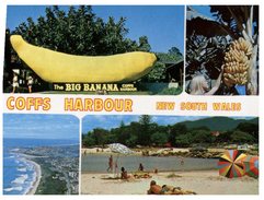 (989) Australia - NSW - Coffs Harbour And Big Banana - Coffs Harbour