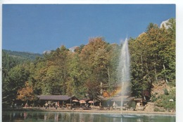 Suisse : Valais - La Colline Aux Oiseaux - Chamoson Chez Tip Top Restaurant En Plein Air Chauffé (n°1915 Jubin) - Chamoson