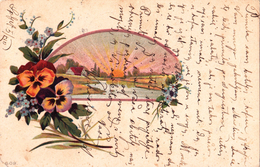 Flower Litho 1903 - Fleurs