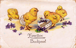 Easter Greetings - Frohliche Ostern, Hristos Vaskrse 1926 - Ostern