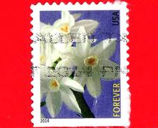 U.S. - USA - STATI UNITI - Usato - 2014 - Fiori - Winter Flowers 2014 - Paperwhite - 49 - Usados