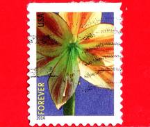 U.S. - USA - STATI UNITI - Usato - 2014 - Fiori - Winter Flowers 2014 - Amaryllis - 49 - Usados
