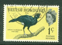 British Honduras: 1962   QE II - Birds   SG202    1c    Used - Honduras Britannico (...-1970)