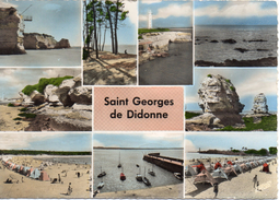 17.....CHARENTE MARITIME......SAINT GEORGES DE DIDONNE....9 VUES..CPSM - Saint-Georges-de-Didonne