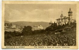 NEUSTADT A.D. HAARDT - Villa Lieberich U. Bauer Mit Haardter Schlösschen - Neustadt Waldnaab